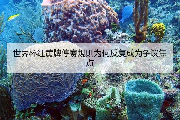 世界杯红黄牌停赛规则为何反复成为争议焦点